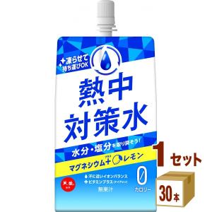 赤穂化成 熱中対策水 レモン味 パウチ 熱中症対策 塩分補給 水分補給 凍らせ ゼロカロリー マグネシウム 300g 1ケース (30袋)｜izmic-ec