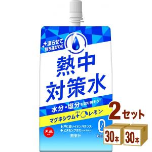 赤穂化成 熱中対策水 レモン味 パウチ 熱中症対策 塩分補給 水分補給 凍らせ ゼロカロリー マグネシウム 300g 2ケース (60袋)