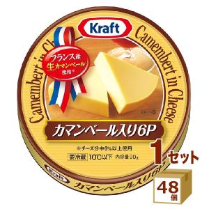 クラフト カマンベール入り チーズ6P 90g×48個｜izmic-ec