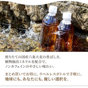 イズミック麦茶 ラベルレス ペットボトル 50...の詳細画像2