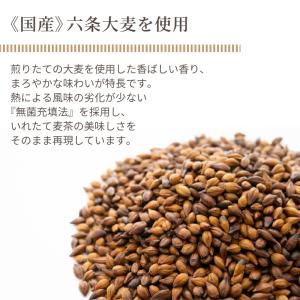 イズミック麦茶 ラベルレス ペットボトル 50...の詳細画像3