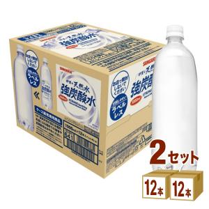 日本サンガリア 伊賀の天然水強炭酸水 ラベルレス 1L 1000ml×12本×2ケース (24本)
