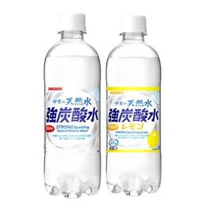 サンガリア 伊賀の天然水 強炭酸水 レモン 選べるセット500ml 2ケース(48本)｜イズミックワールド