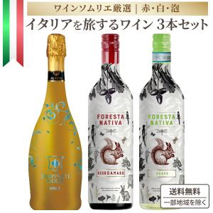 ボジョレー ヌーボー 2025年11月20日解禁 厳選飲み比べ3本セット