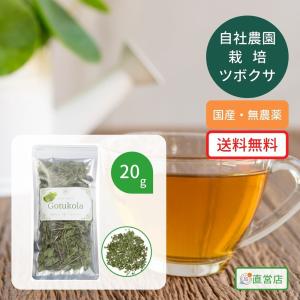 国産 無農薬ツボクサ茶 20g 伊豆大島 与論島 ブラフミー