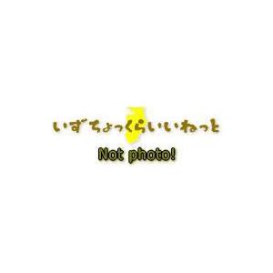 CT-163　八重洲無線　データケーブル（MDIN10ピン⇔MDIN6ピン+Dsub9ピン）　CT-...