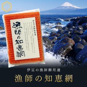 漁師の知恵網 4色の商品画像