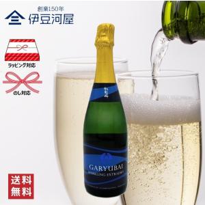 臥龍梅 Garyubai Sparkling ExtraDry 720mL 四合瓶 日本酒 酒 地酒 スパークリング 送料無料 静岡 静岡県 清水 三和酒造 のし 熨斗 名入れ ギフト 包装 ラッ…
