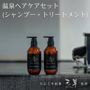 エメリル Emerire シャンプー トリートメント セット スカルプ