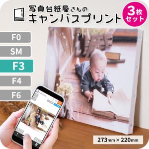 キャンバスプリント アートパネル オーダー F3サイズ 3枚セット 273mm×220mm フォト ...