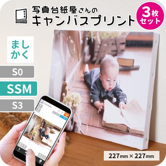 キャンバスプリント アートパネル オーダー SSMサイズ 3枚セット ましかく 227mm×227m...