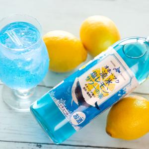 ヤッホーブルーイング クラフトビール インドの青鬼 IPA 350ml x 2