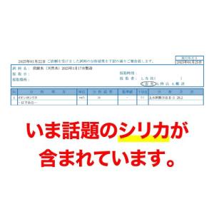 炭酸水 500ml 48本 シリカ32〜38m...の詳細画像1