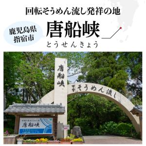 8/23限定 全品P2倍 唐船峡めんつゆ 50...の詳細画像5