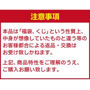 8/16限定 全品P2倍 第34弾 日本酒福袋...の詳細画像2
