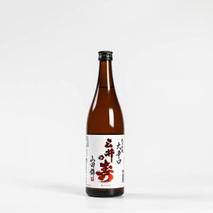 三井の寿 +14 大辛口 純米吟醸 720ml スラムダンク 大辛口 純米吟醸 純米大吟醸 みいのことぶき お酒 ギフト プレゼント お祝い