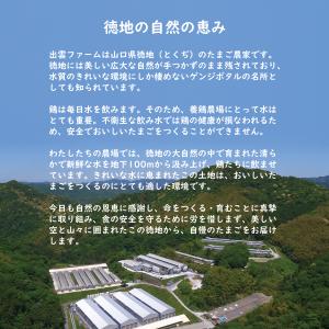 出雲ファームのこめたまご 30個(お米育ちのニ...の詳細画像1