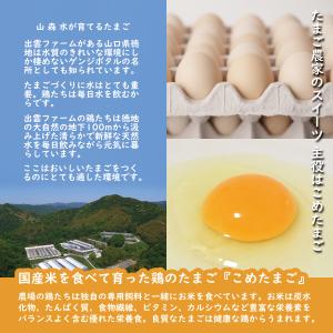 エシカルバウム イヤリング(グルテンフリー /...の詳細画像2
