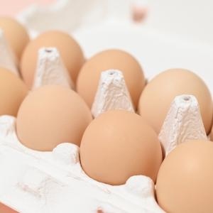 大寒たまご 2026 30個(送料無料 / 産...の詳細画像4