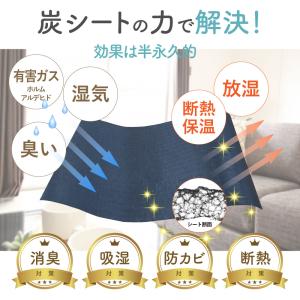 キッチン・リビング・下駄箱用 除湿 消臭 防カ...の詳細画像2