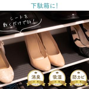 キッチン・リビング・下駄箱用 除湿 消臭 防カ...の詳細画像3