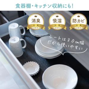 キッチン・リビング・下駄箱用 除湿 消臭 防カ...の詳細画像4