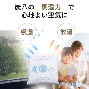 炭八 炭八スマート小袋10点セット 除湿剤 湿...の詳細画像3