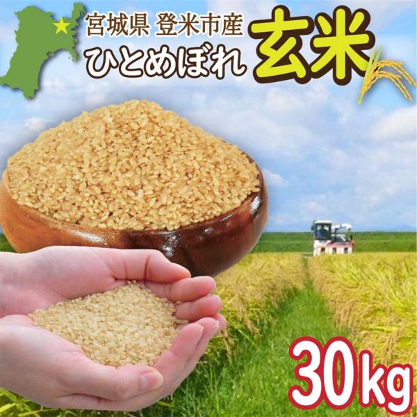 玄米 宮城県登米市産 ひとめぼれ 30kg 令和5年産 うるち米 2023年産