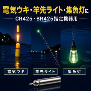 CR425(BR425互換)5本 ピン型電池 ...の詳細画像3