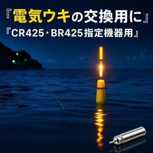 CR425(BR425互換)5本 ピン型電池 ...の詳細画像1