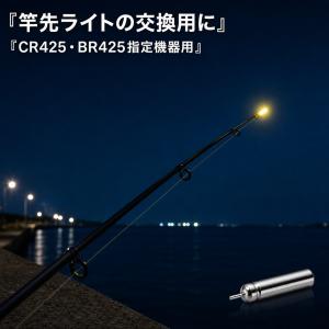 CR425(BR425互換)5本 ピン型電池 ...の詳細画像2