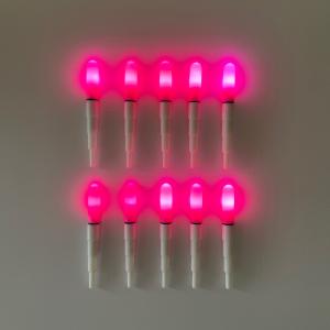 竿先ライト（赤色×8個）穂先ライト LED 磯釣り ヤエン 夜釣り ぶっ込み