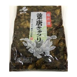 新進　極め漬葉唐きゅうり業務用　５００ｇ