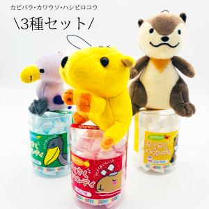 伊豆シャボテン本舗 カピバラ ハシビロコウ カワウソ さくさくキャンディ &amp; キーホルダー 3種セット