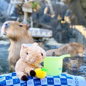 伊豆シャボテン本舗 元祖カピバラの露天風呂 ぬいぐるみ &amp; 手ぬぐい 桶 3点セット
