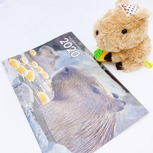 伊豆シャボテン本舗 カピバラ Yahoo ショッピング