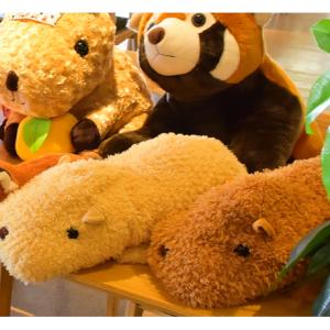 伊豆シャボテン本舗 ぬいぐるみ おもちゃ Yahoo ショッピング