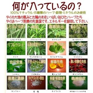 【正規品】楽草ホットパット アイパック 電子レ...の詳細画像2