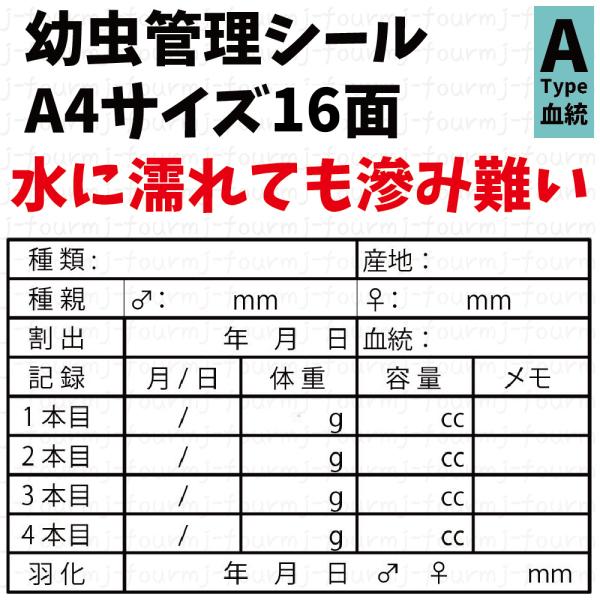 幼虫管理ラベルA シール 16面 血統記入可能 水に強い滲まない