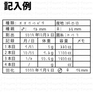 幼虫管理ラベルB シール 16面 菌糸記入可能...の詳細画像1