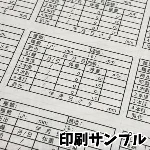 幼虫管理ラベルB シール 16面 菌糸記入可能...の詳細画像3