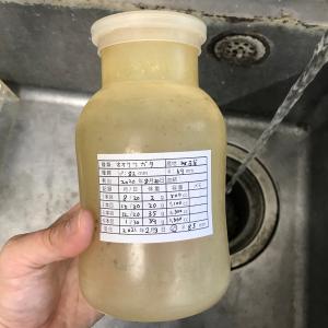 幼虫管理ラベルB シール 16面 菌糸記入可能...の詳細画像4