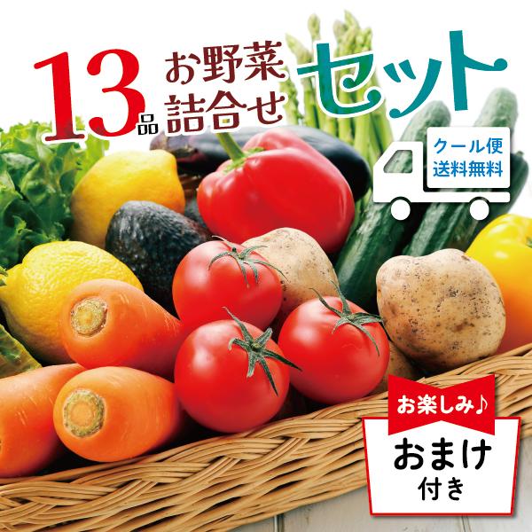 ｜送料無料｜１３品以上 おまけ付き 野菜詰め合わせ ｜ 野菜セット 詰め合わせ 新潟 旬 野菜 フル...