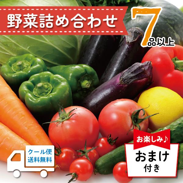｜送料無料｜7品 おまけ付き 野菜詰め合わせ ｜ 野菜セット 詰め合わせ 新潟 旬 野菜 フルーツ