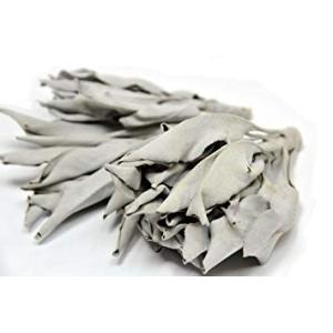 ハーブ工房HCC ホワイトセージ1kg　プロ用　浄化上質クラスター（葉＋枝付）　カリフォルニア産