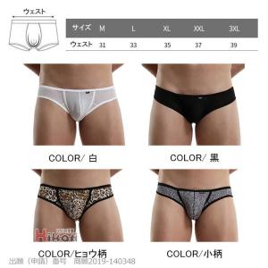 ビキニブリーフ 水着 極小 メンズ Tバック ...の詳細画像5