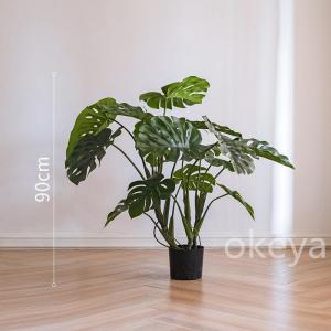 モンステラ モンステラツリー グリーン 観葉植...の詳細画像2