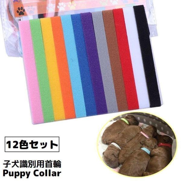 パピーカラー パピーマーカー 12色セット 識別用首輪 子犬 子猫 小型犬 ペット用品 両面ファスナ...