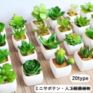 人工観葉植物 フェイクサボテン フェイクグリーン 造花グリーン ミニサボテン 多肉植物 緑 枯れない 植物装飾 ポット付き リアル 置き物 置物 植木