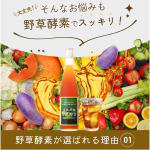 爆買 酵素ドリンク あけび アケビ エキス 無...の詳細画像4